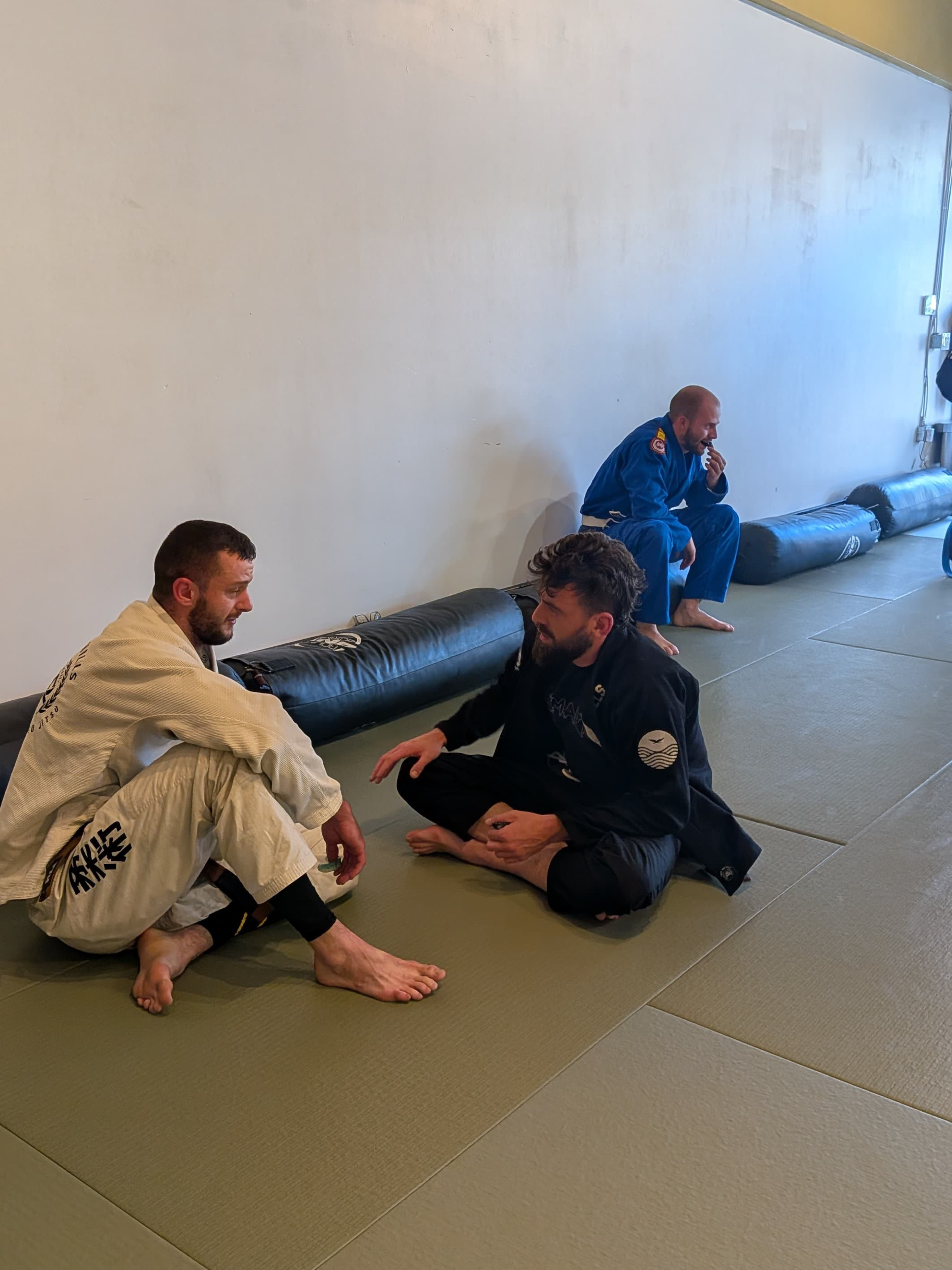 Gentle Art Collective SHINSEI Gi for Jiu Jitsu, lightweight white martial arts gi with reinforced stitching and logo patches.